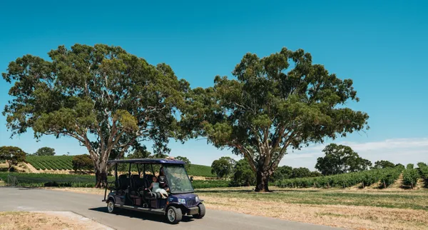 Lambert Vineyard Electric Cart Tour - 1 Hour - For 2