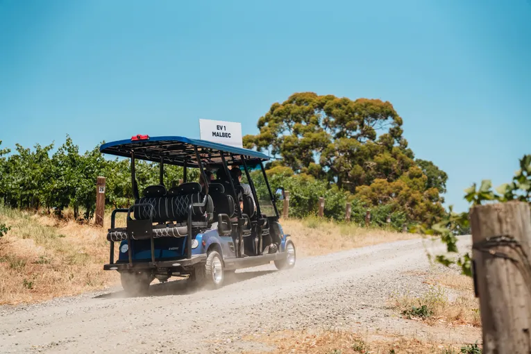 Lambert Vineyard E-Cart Tour - 1 Hour - For 2 | Experience Oz