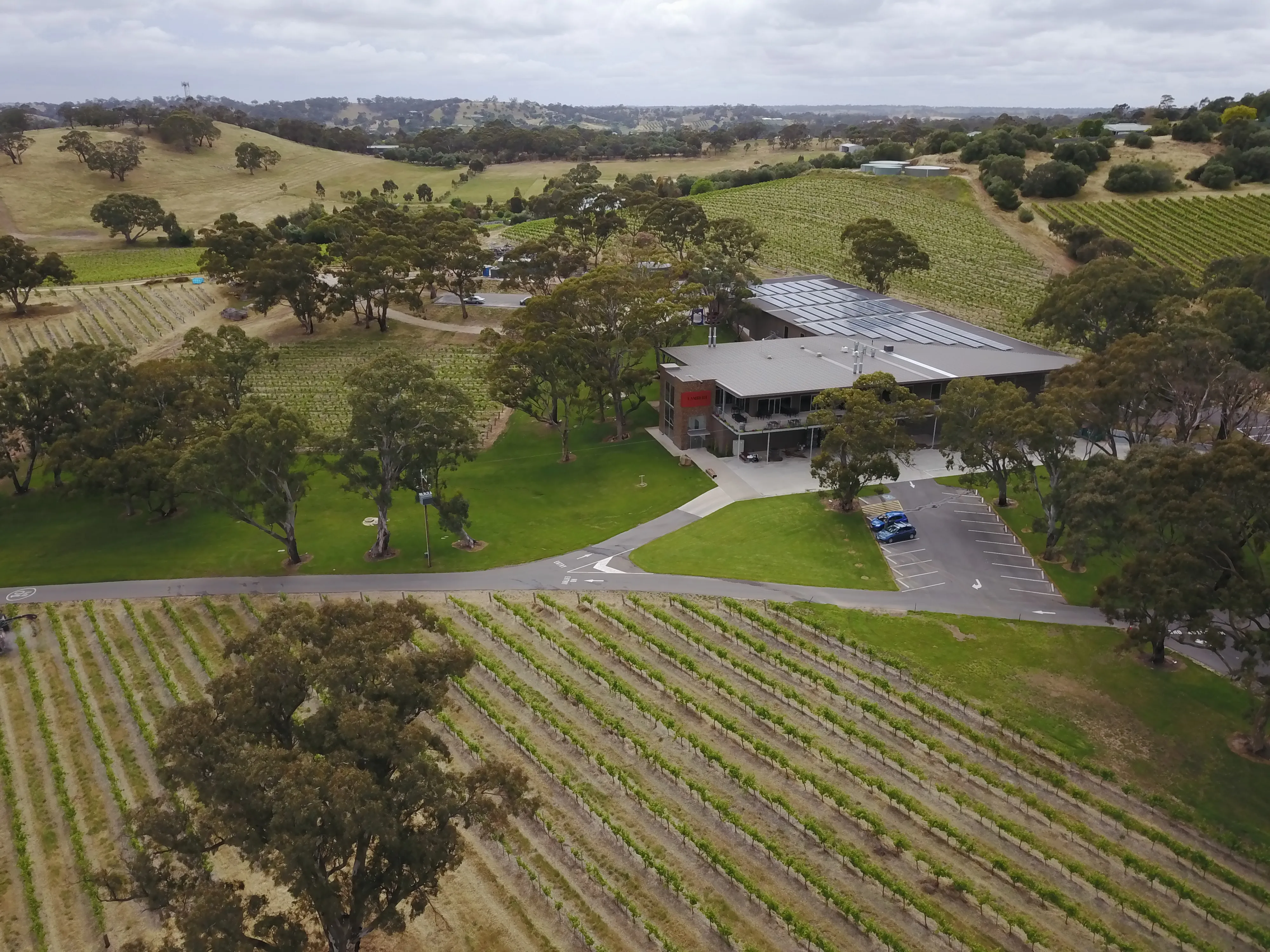 Lambert Vineyard E-Cart Tour - 1 Hour - For 2 | Experience Oz-4