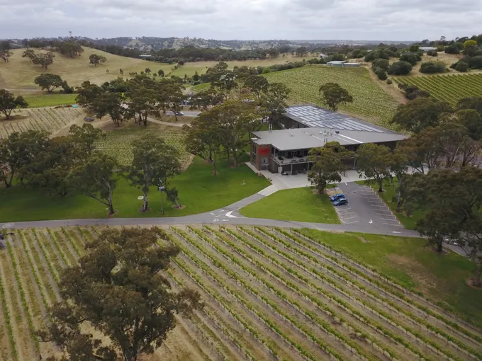 Lambert Vineyard E-Cart Tour - 1 Hour - For 2 | Experience Oz