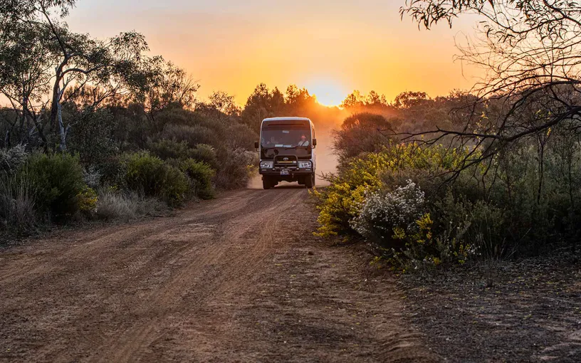 Gurulmundi Wildflowers Tour from Roma - Full Day | Experience Oz