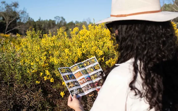 Gurulmundi Springtime Wildflowers Tour from Roma - Full Day