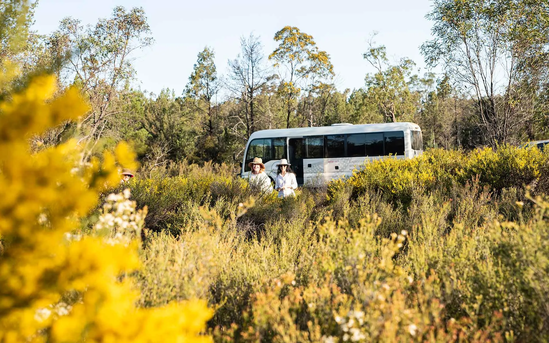 Gurulmundi Wildflowers Tour from Roma - Full Day | Experience Oz-5