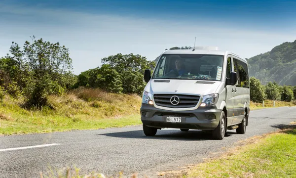 Auckland Maori Culture Tour with Lunch - Full Day