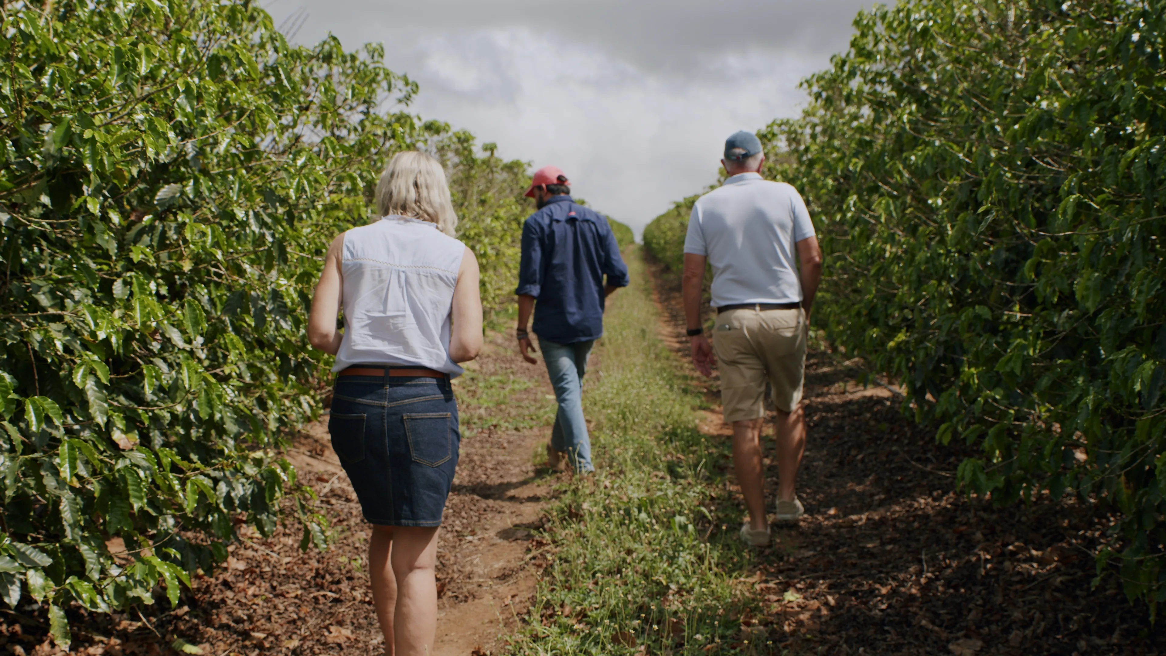 Atherton Tablelands Guided Coffee Farm Tour | Experience Oz-1