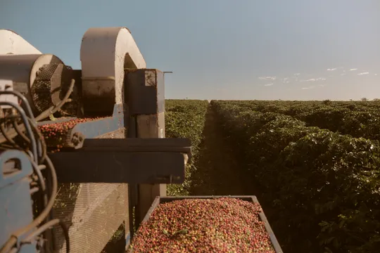 Atherton Tablelands Guided Coffee Farm Tour - 1 Hour