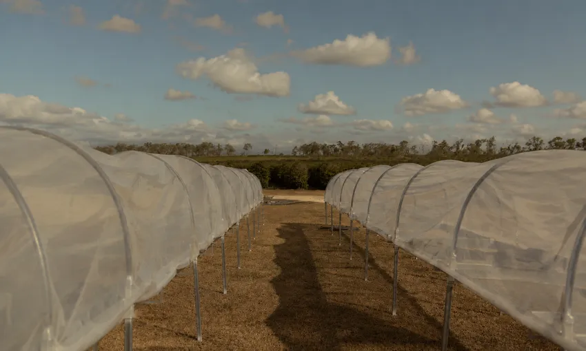 Atherton Tablelands Guided Coffee Farm Tour | Experience Oz