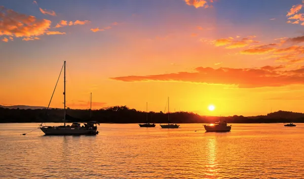 Tweed River Sunset Cruise, Live Music & Nibbles - 2 Hours