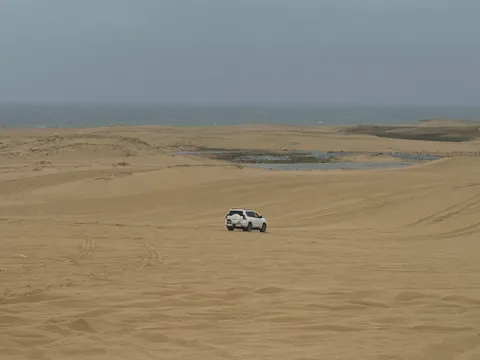 Stockton Beach Guided 4WD Fishing Adventure - 5 Hours