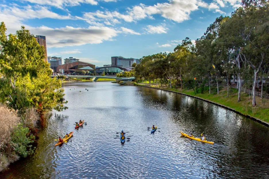 Adelaide City Guided Kayak Tour - 90 Minutes | Experience Oz-2