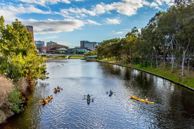 Adelaide City Guided Kayak Tour - 90 Minutes | Experience Oz