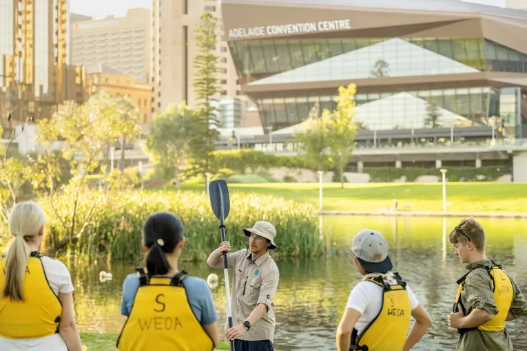 Adelaide City Guided Kayak Tour - 90 Minutes | Experience Oz