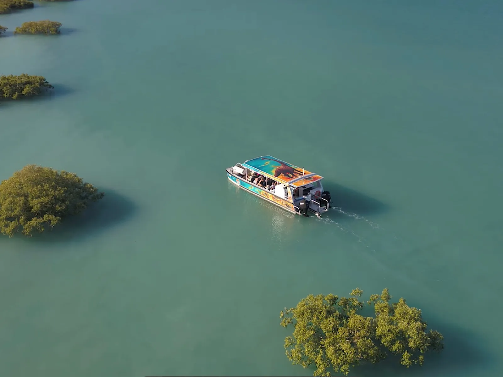 Broome Scenic and Prehistoric Boat Tour - 3 Hours | Experience Oz-2
