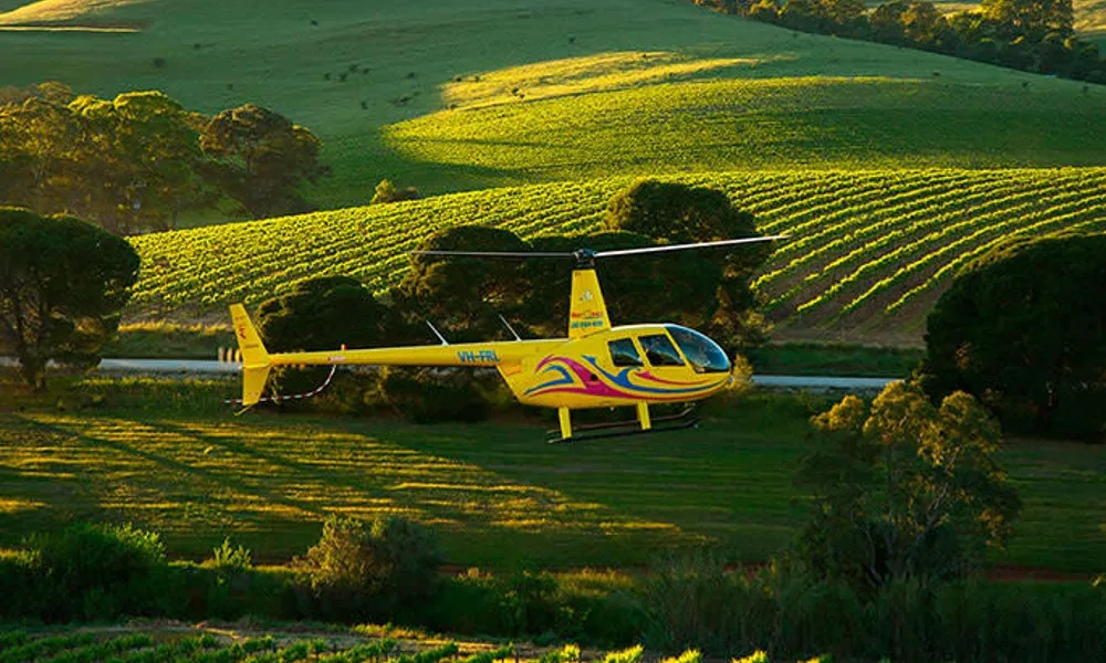 Barossa Valley 15 Minute Scenic Helicopter Flight | Experience Oz-3