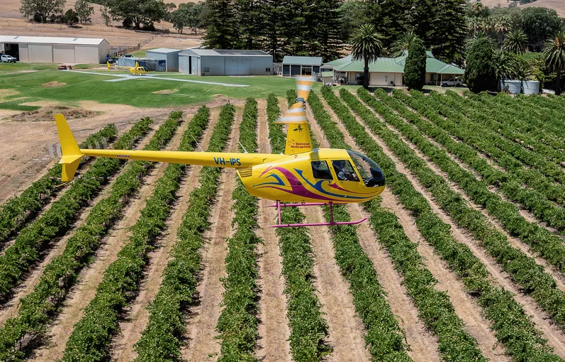 Barossa Valley 15 Minute Scenic Helicopter Flight | Experience Oz