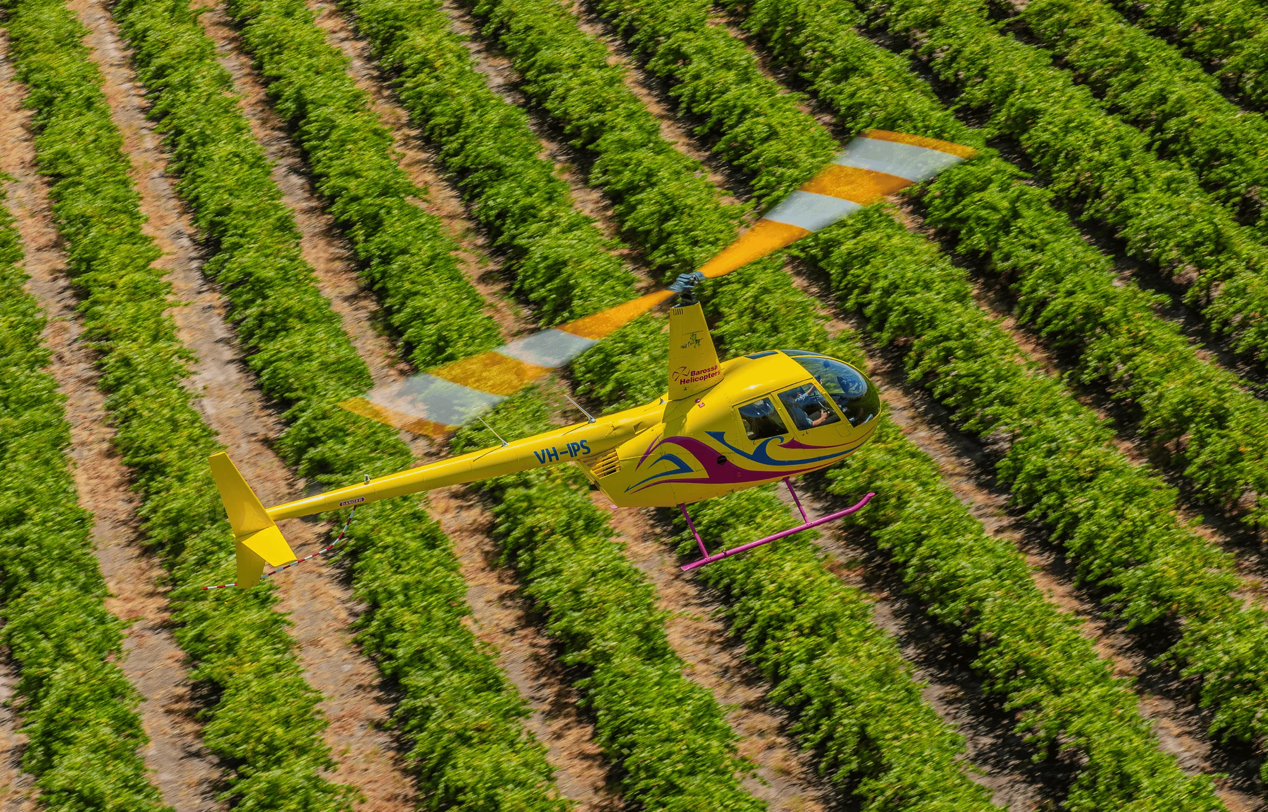 Barossa Valley 15 Minute Scenic Helicopter Flight | Experience Oz-4