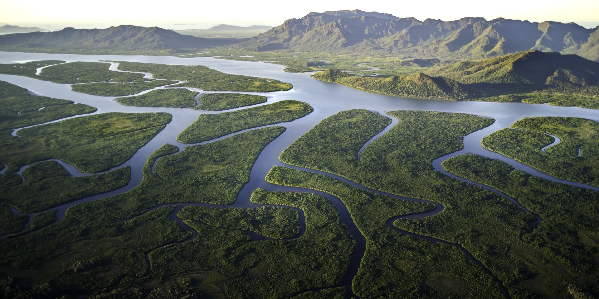 Hinchinbrook Island Scenic Cruise - Half Day | Experience Oz-5