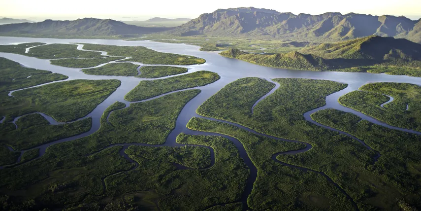Hinchinbrook Island Scenic Cruise - Half Day | Experience Oz
