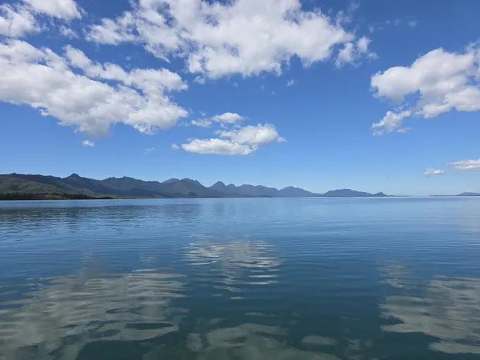 Hinchinbrook Island Scenic Cruise - Half Day | Experience Oz