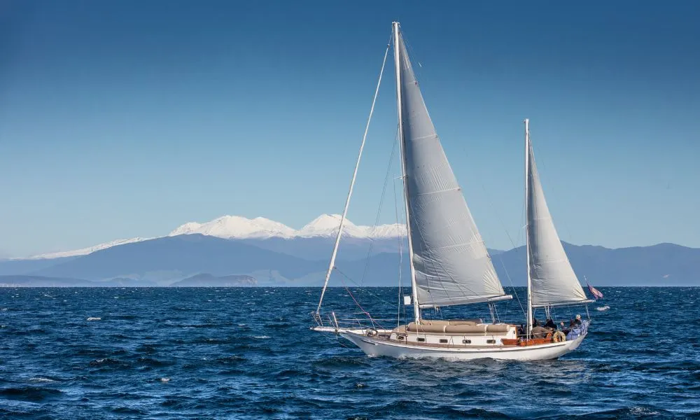Maori Rock Carvings Cruise - 2.5 Hours | Everything New Zealand-3