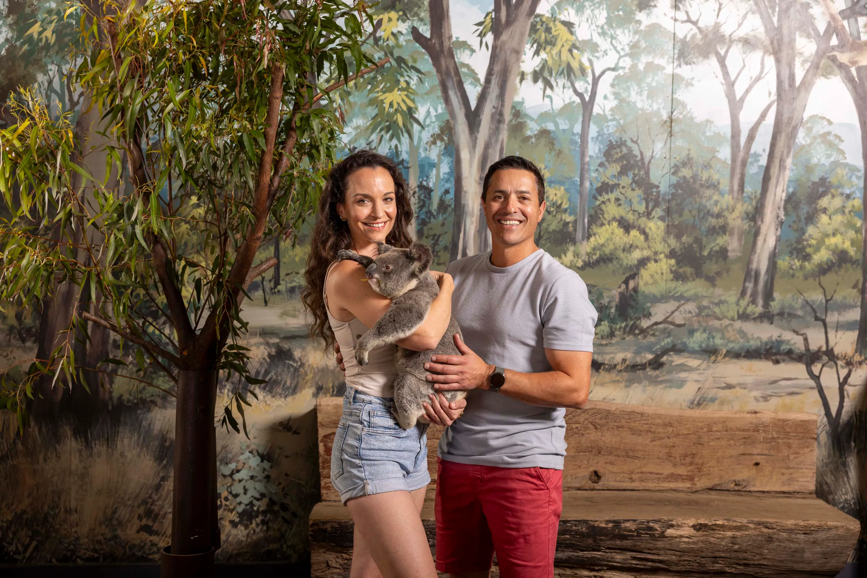 Dreamworld Koala Photo-1