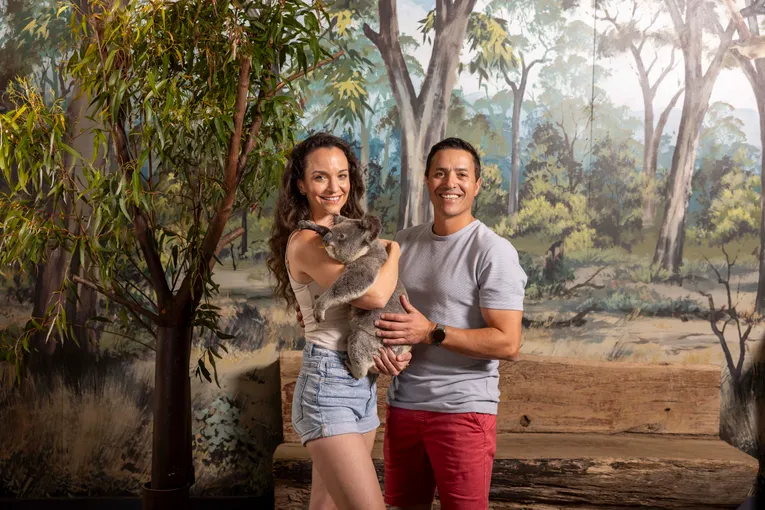 Dreamworld Koala Photo