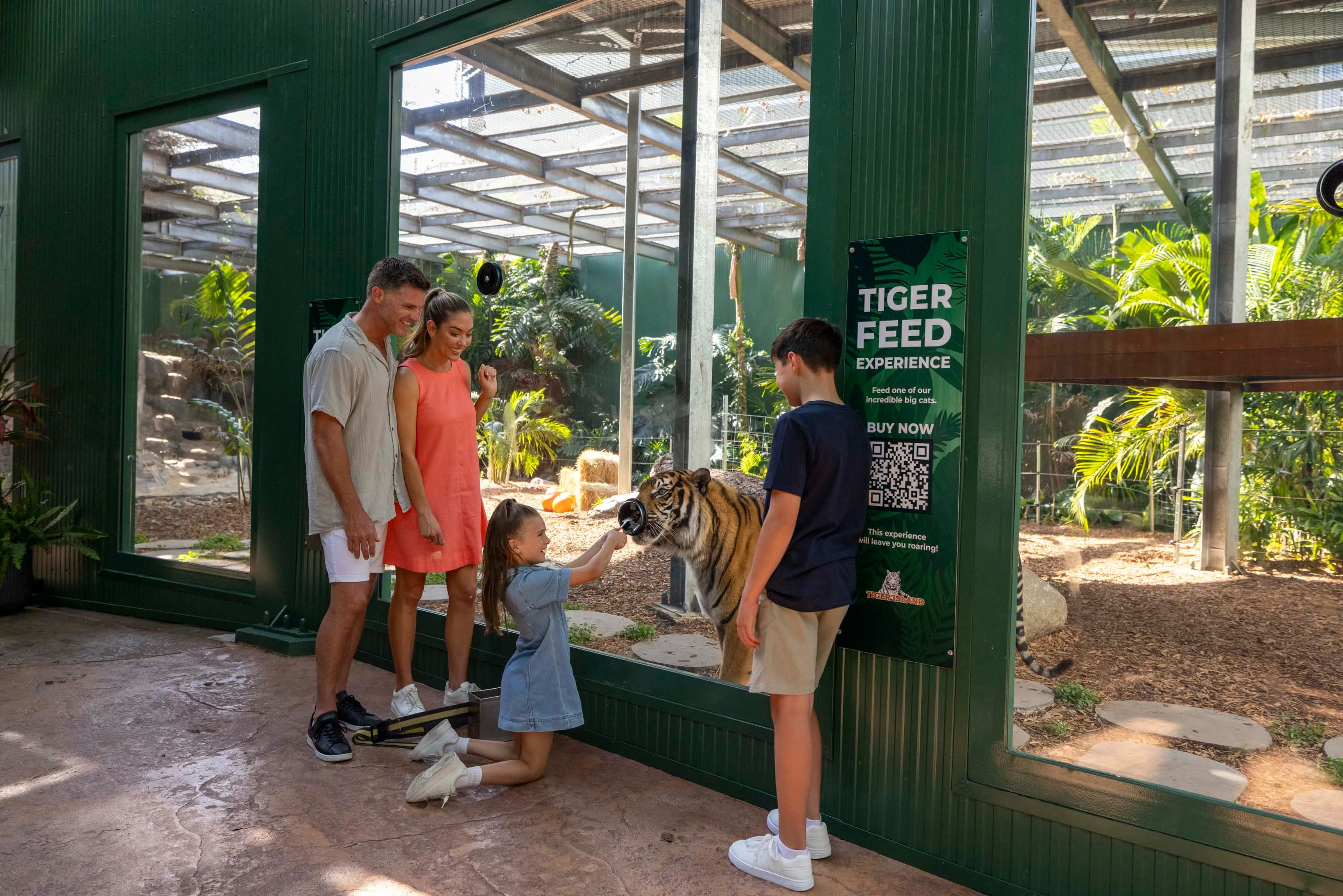 Dreamworld Tiger Feed-2