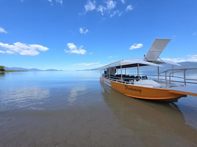Hinchinbrook Channel Wildlife Cruise with Lunch | Experience Oz