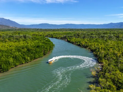 Hinchinbrook Channel Wildlife Cruise with Lunch - Half Day