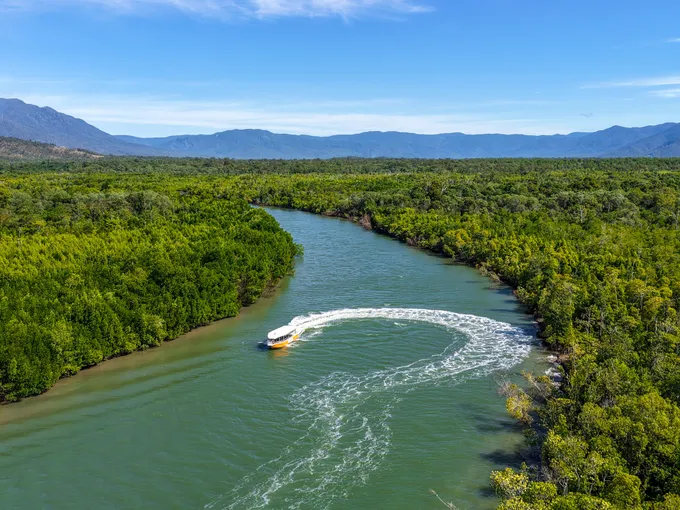 Hinchinbrook Channel Wildlife Cruise with Lunch | Experience Oz