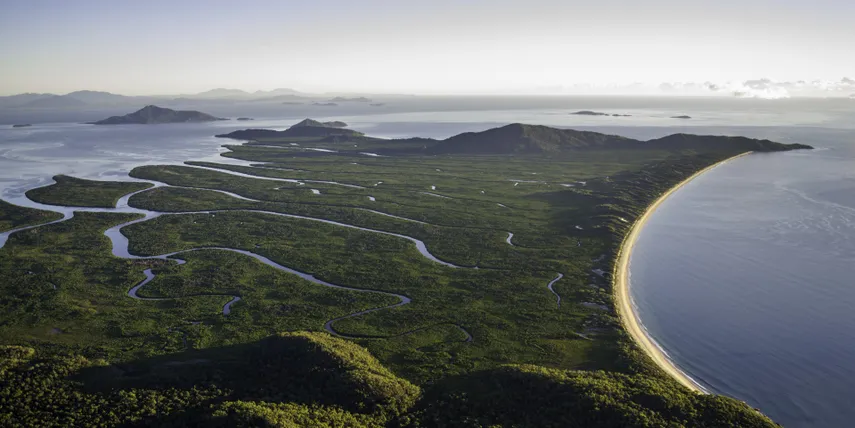 Hinchinbrook Channel Wildlife Cruise with Lunch | Experience Oz