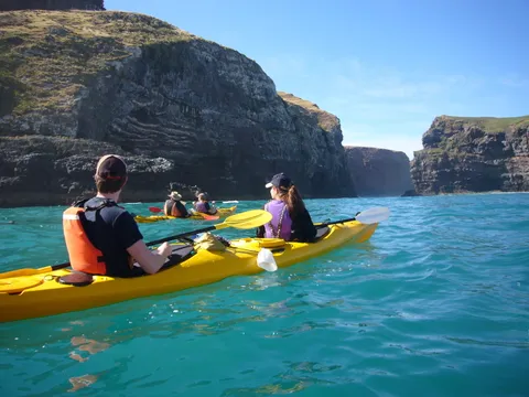 Pōhatu Marine Reserve Kayak & 4WD Adventure from Akaroa