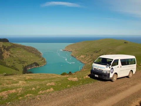 Pōhatu Marine Reserve Kayak & 4WD Adventure from Akaroa