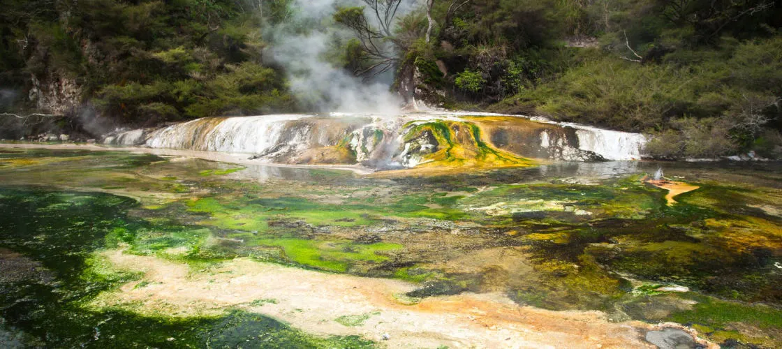 Waimangu Volcanic Valley Walk | Everything New Zealand-4