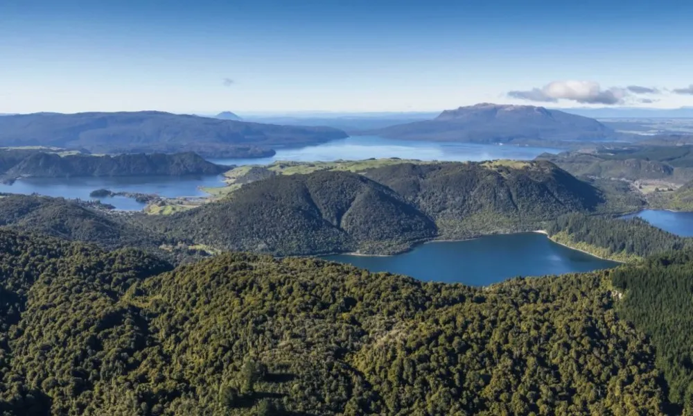 Rotorua Floatplane Flight - 90 Minutes | Everything New Zealand-3
