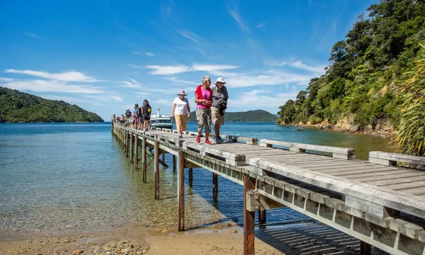Queen Charlotte Sound Cruise from Picton - 3.5 Hours