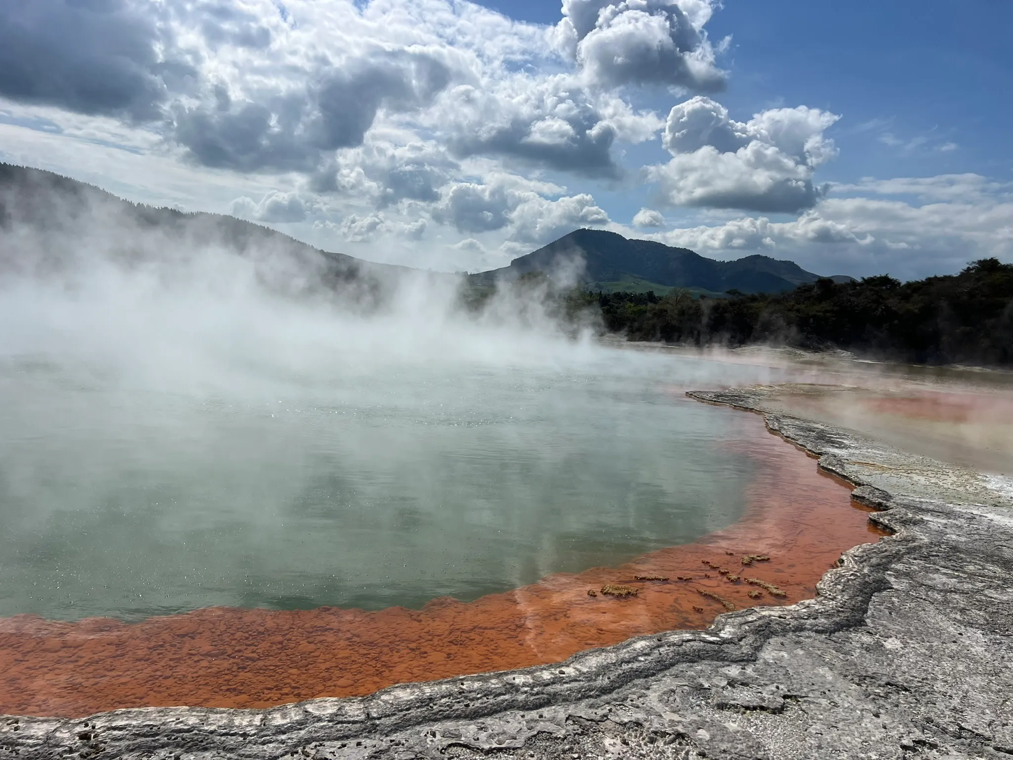Wai-O-Tapu, Redwood & Blue Springs Tour | Everything New Zealand-3