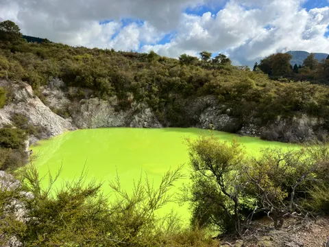 Wai-O-Tapu, Redwood Forest & Blue Springs Tour - Full Day