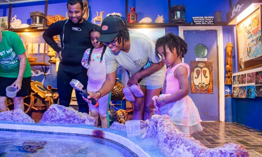 Marineland Melanesia Crocodile Habitat Entry | Experience Oz