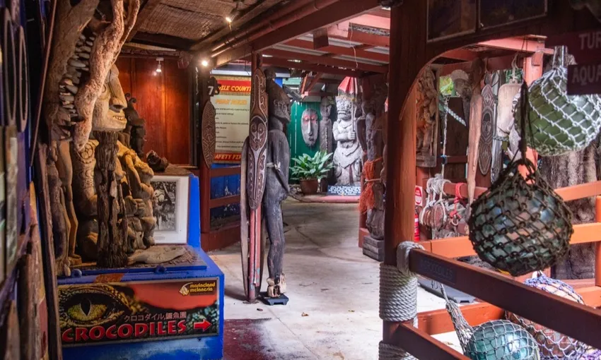 Marineland Melanesia Crocodile Habitat Entry | Experience Oz