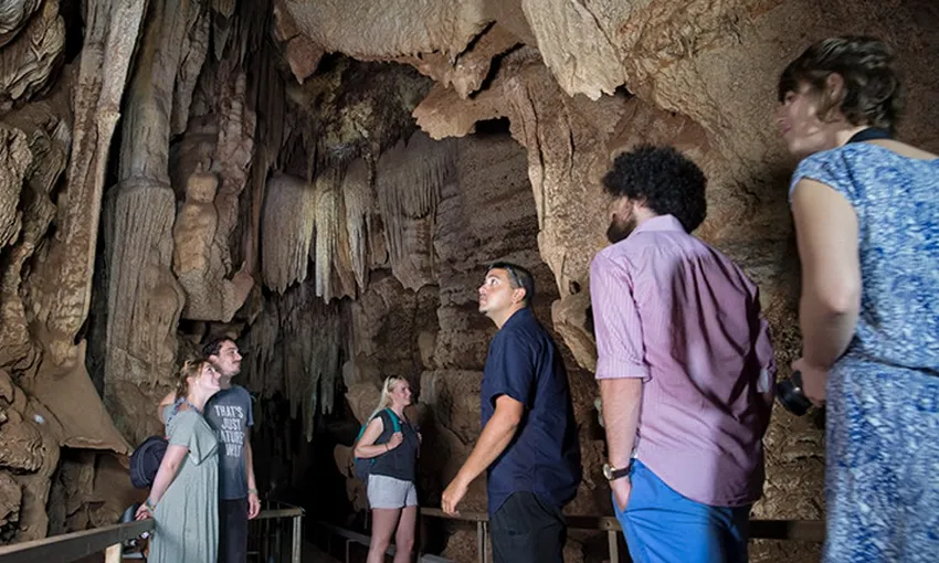 Cutta Cutta Caves Guided Walking Tour - 1 Hour | Experience oz