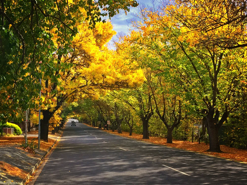 Adelaide Hills, Hahndorf & McLaren Vale Tour | Experience Oz-2