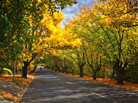 Adelaide Hills, Hahndorf & McLaren Vale Tour - Full Day