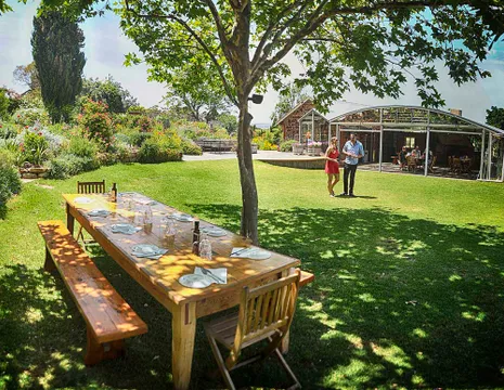McLaren Vale Wine Tasting & Lunch Tour - Full Day