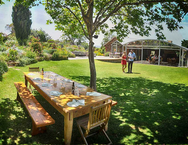McLaren Vale Wine Tasting & Lunch Tour - Full Day | Experience Oz