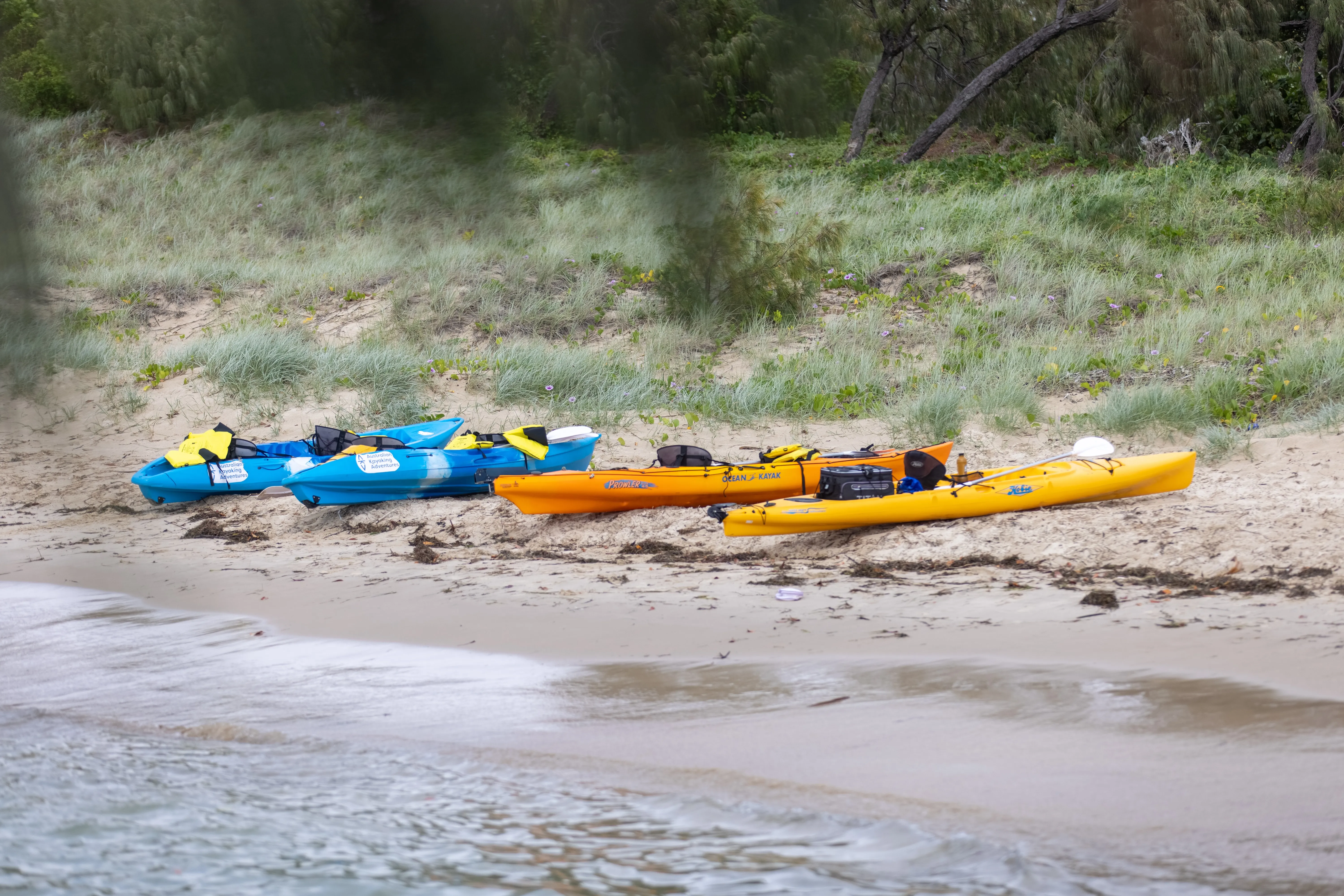 Gold Coast Kayak and Snorkel Tour with Breakfast | Experience Oz-7