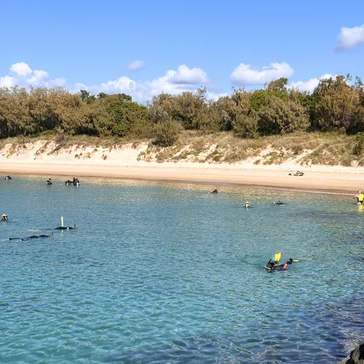 Gold Coast Kayak and Snorkel Tour with Breakfast | Experience Oz