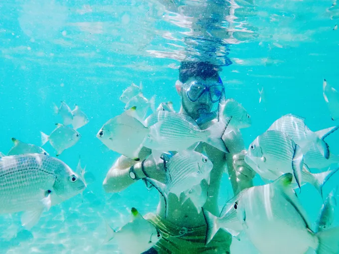 Kayak and Snorkel Tour, 3 Hours - Gold Coast