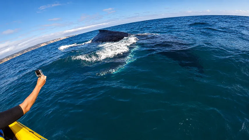 Ocean Kayaking & 4WD Adventure Double Island Point - Noosa