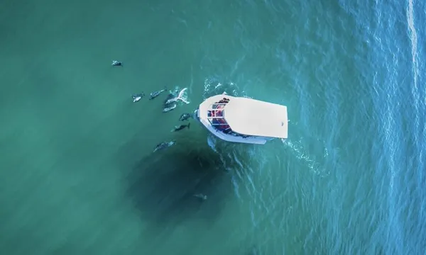 Merimbula Ocean & Wildlife Adventure Tour